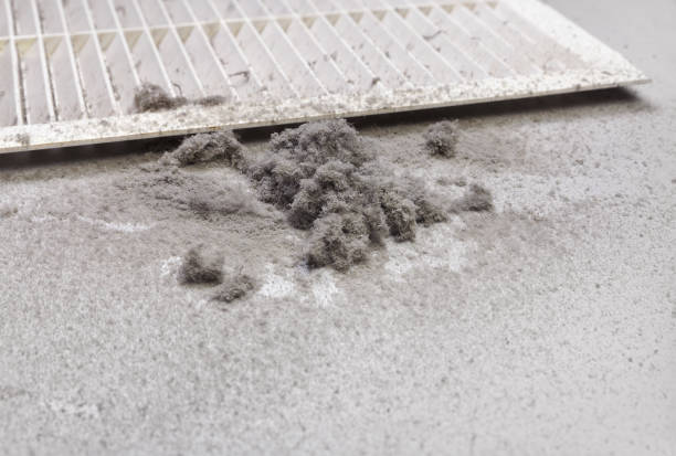 Best Air Duct Sanitizing Services  in Durant, MS