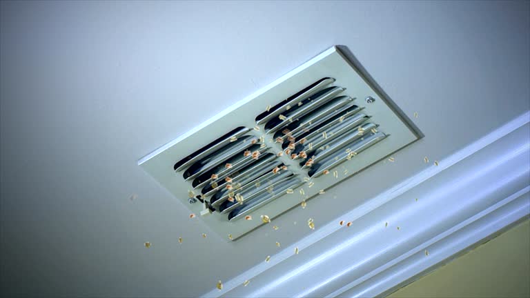 Best Local Air Duct Cleaning Services  in Durant, MS